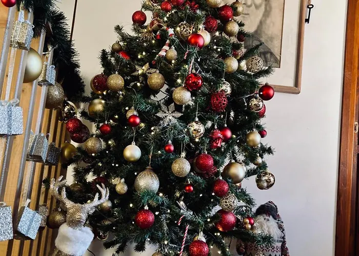 Hamam Sifaka * خانيا